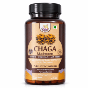 Chaga Mushroom Extract Capsules