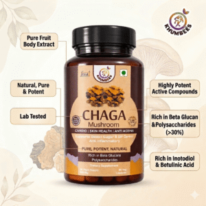 Chaga Mushroom Extract Capsules