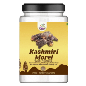 Dried Kashmiri Morel