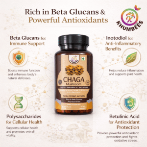 Chaga Mushroom Extract Capsules