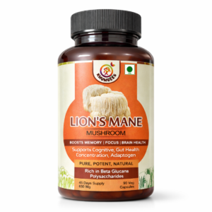 Lion's Mane Mushroom Extract Capsules