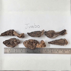 Dried Kashmiri Morel